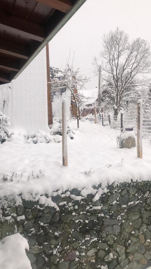 Dag Evi ,2 Oda, Lake View, Fireplace Jakuzi,6 Person 萨潘贾 外观 照片